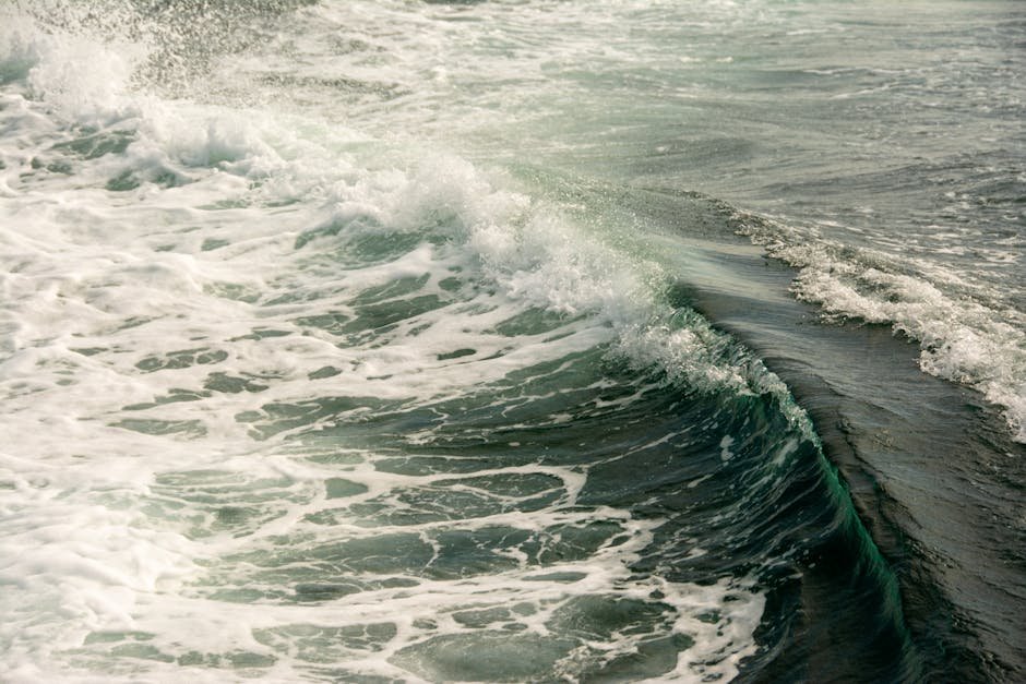 Buying Solar Surge Protectors: Warranty & Failure Indicators - Process flow diagram